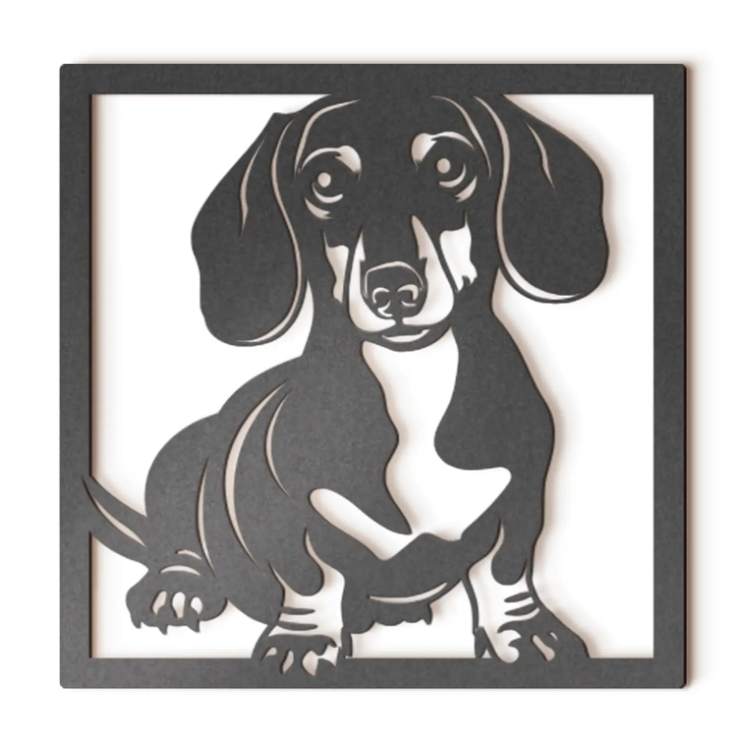 Dachshund
