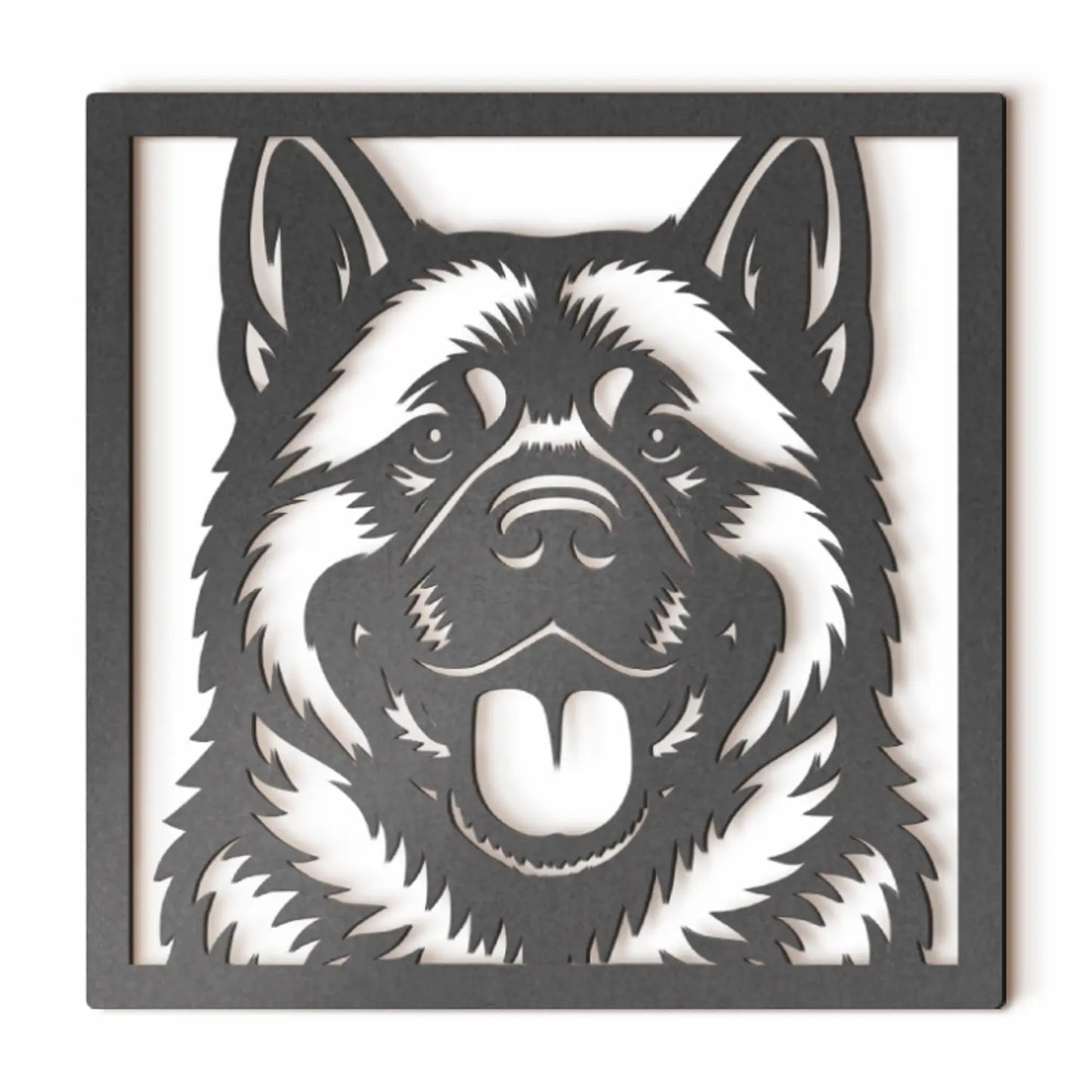 Akita Americano