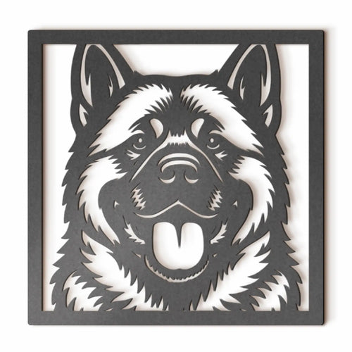 Akita Americano