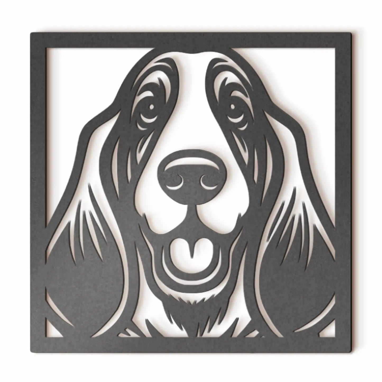 Basset Hound