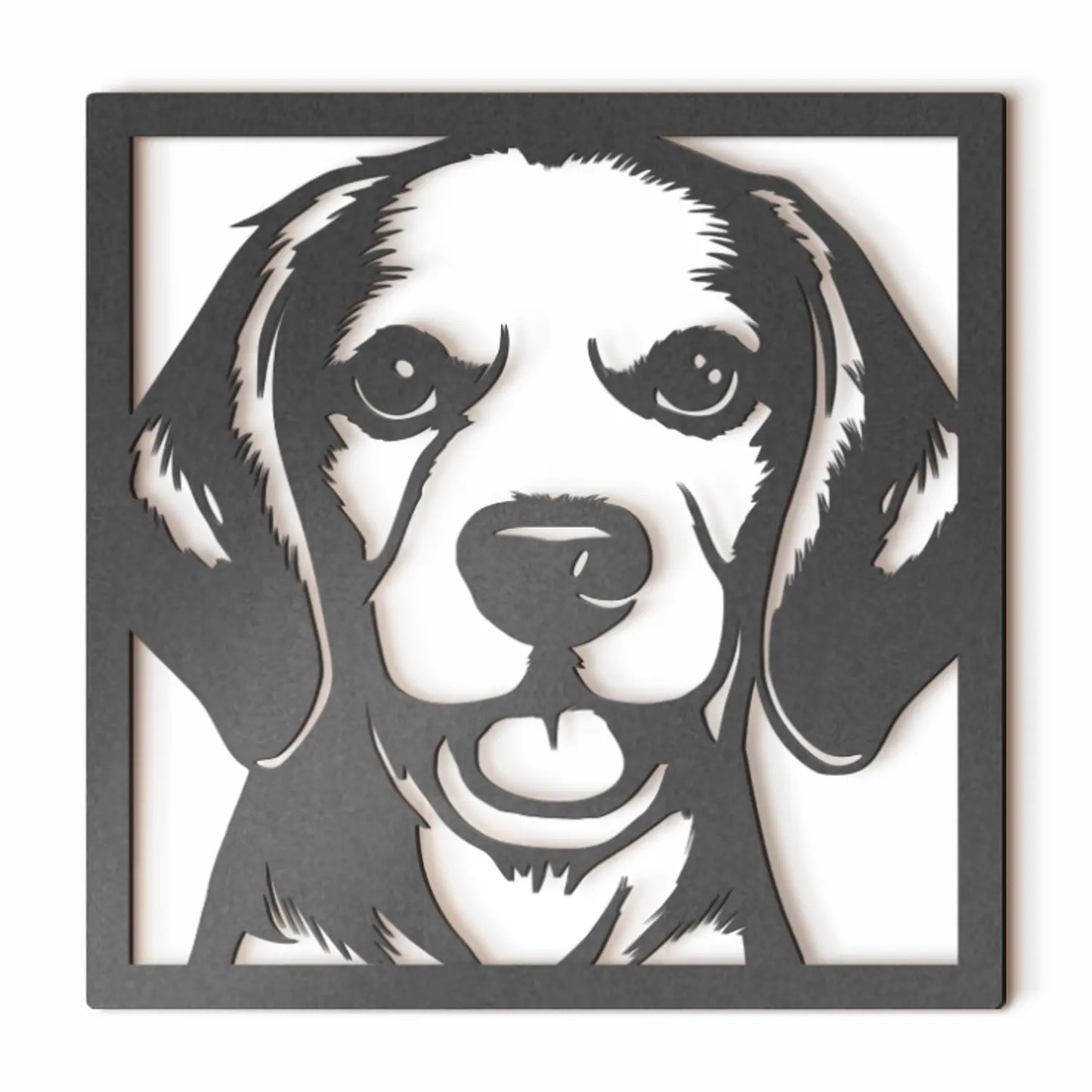 Beagle