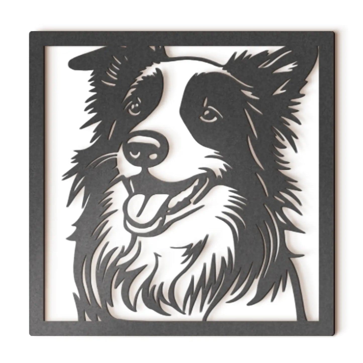 Border Collie II