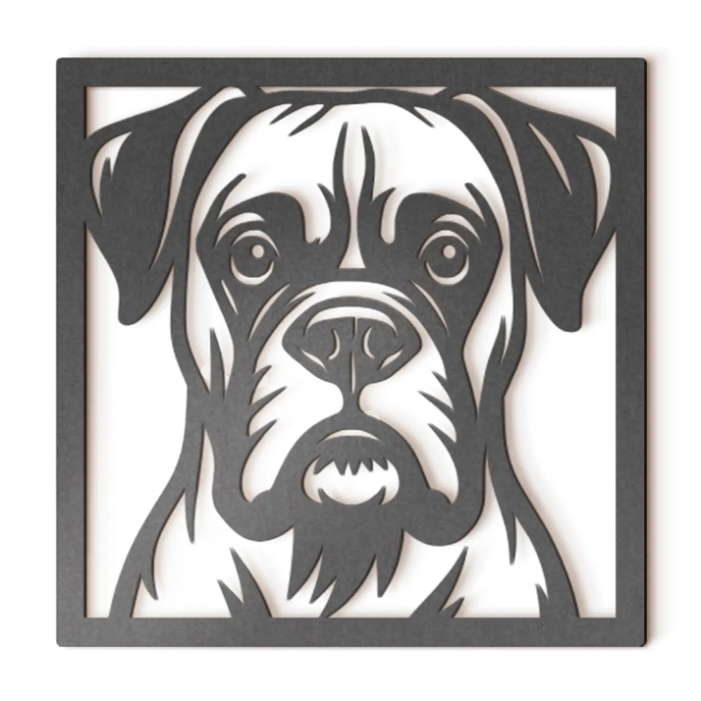 Boxer