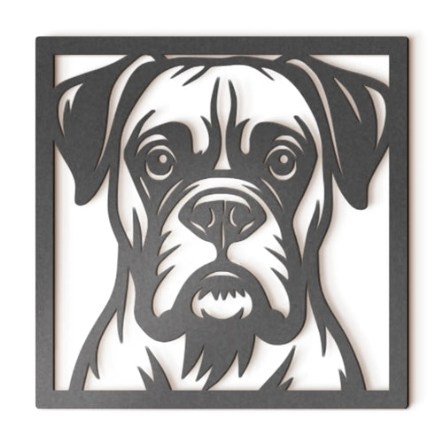 Boxer