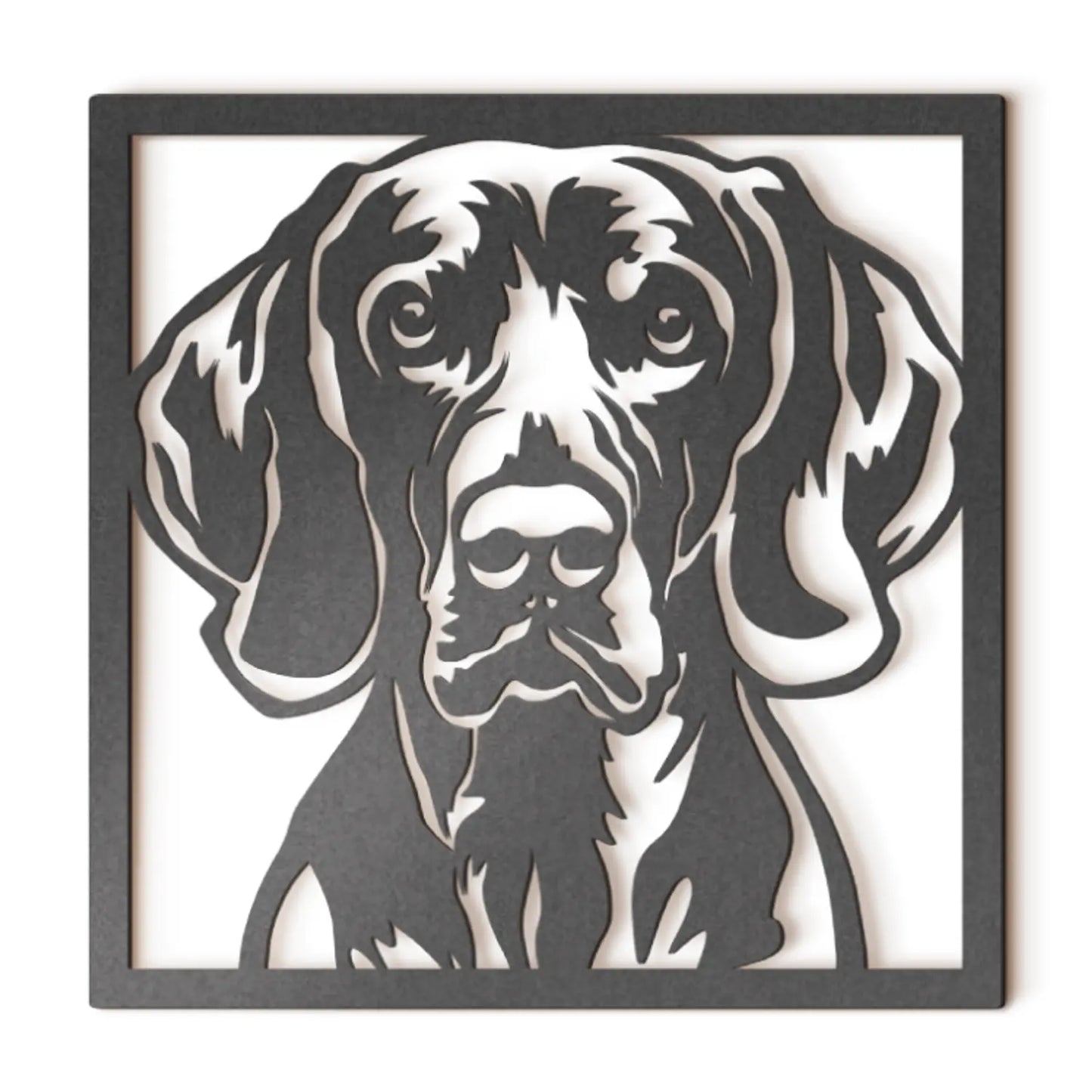 Weimaraner
