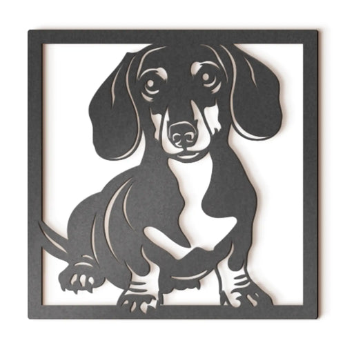 Dachshund