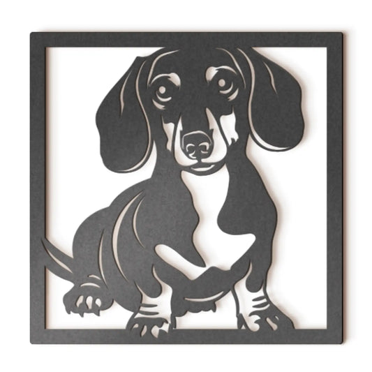 Dachshund