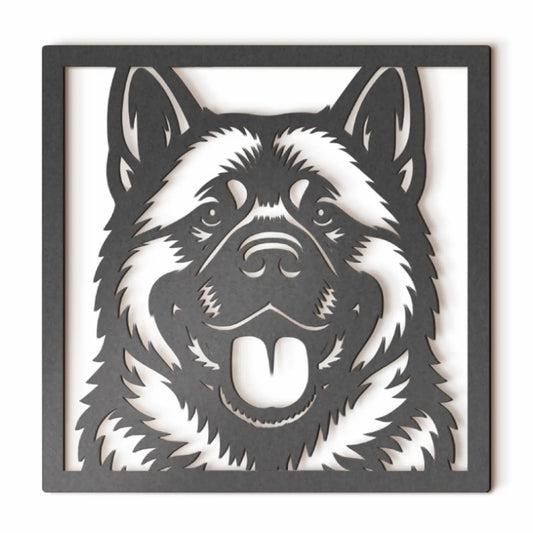 Akita Americano