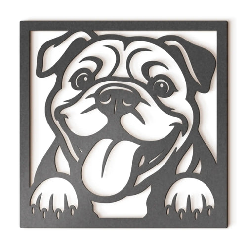 American Bully