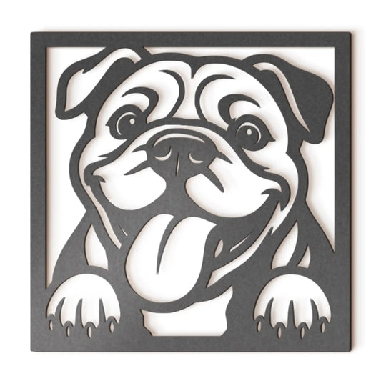 American Bully