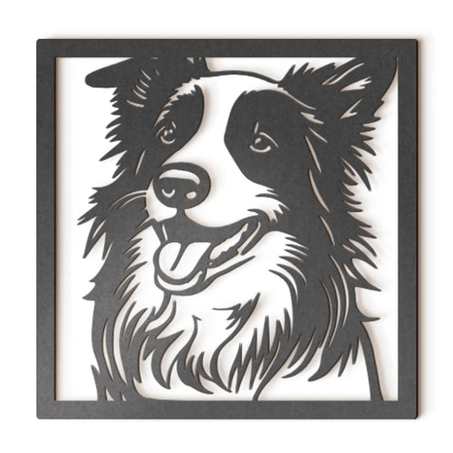 Border Collie II