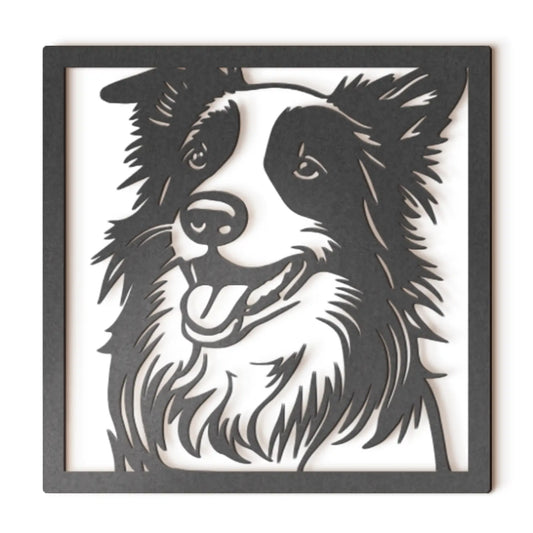 Border Collie II