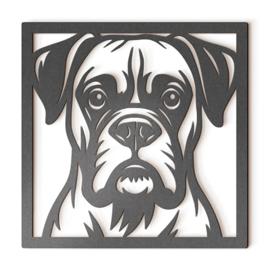 Boxer