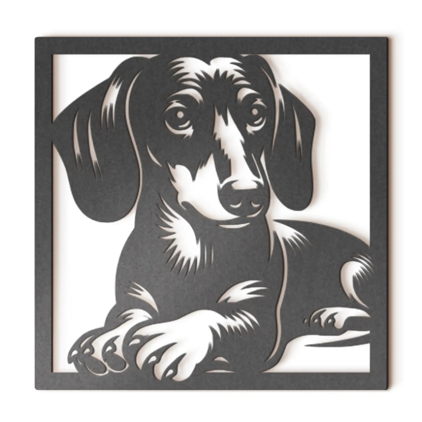 Dachshund II