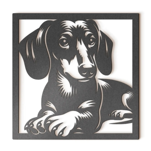 Dachshund II