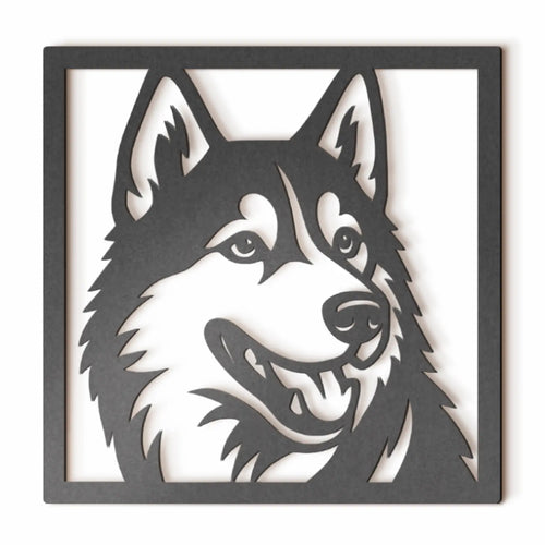 Husky Siberiano