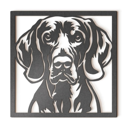 Weimaraner
