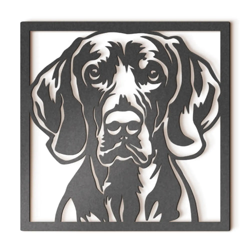 Weimaraner