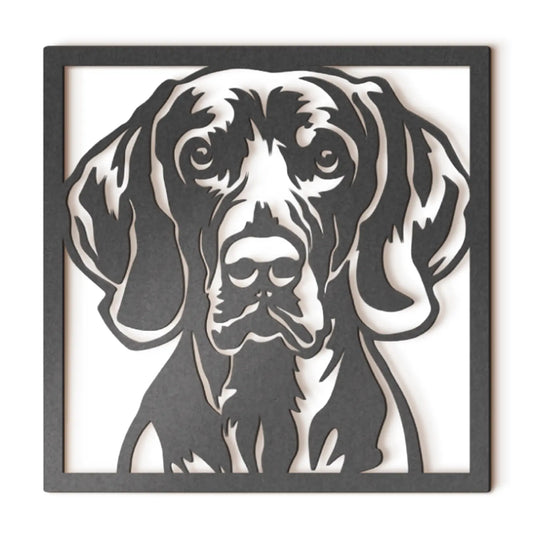 Weimaraner